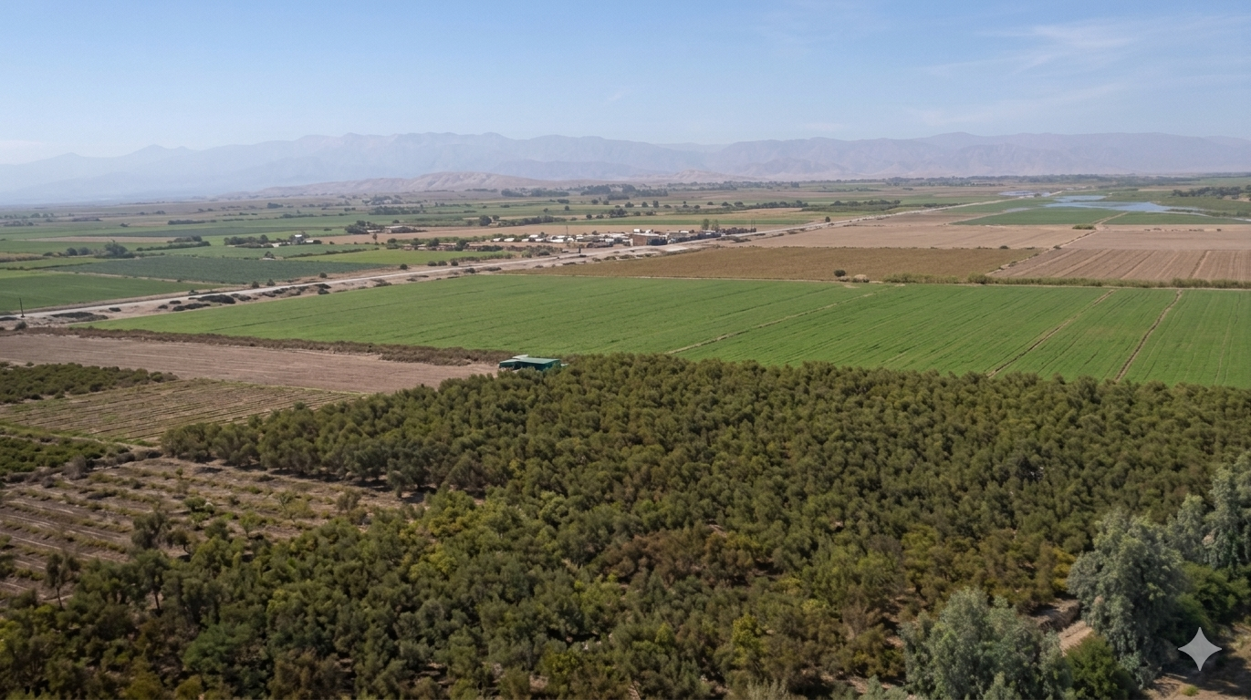 Valles costeros de Arequipa